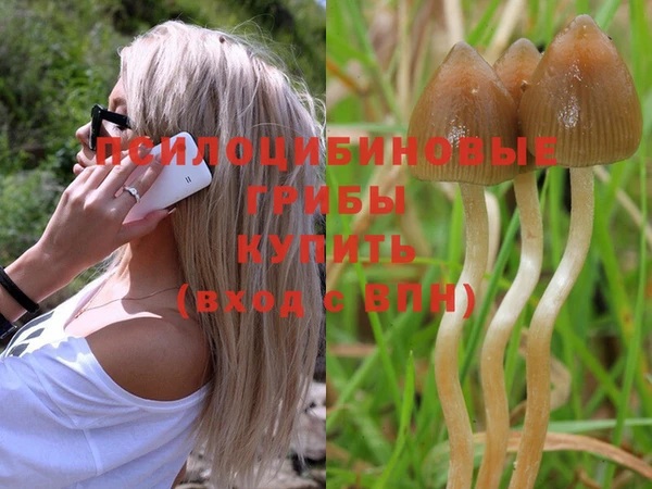 МДМА Горняк