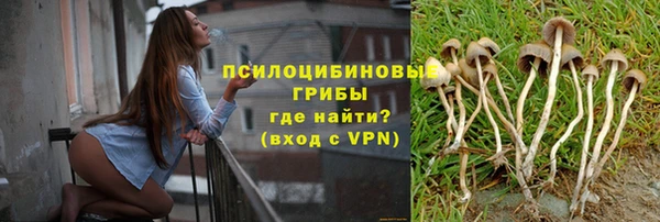 МДМА Горняк